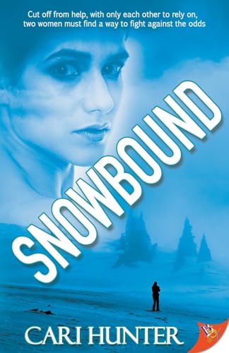 Snowbound view 2