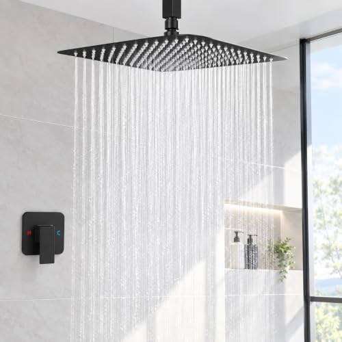 La Mejor Selección de Regaderas de techo para baño - cinco favoritos. 6 La Mejor Selección de Regaderas de techo para baño - cinco favoritos. 6