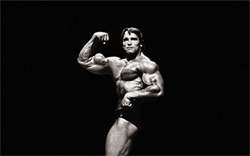 Arnold Schwarzenegger - Bodybuilder Mr Olympia Universe Fabric Poster