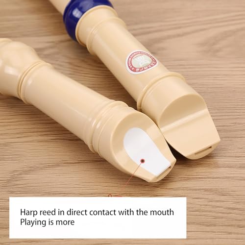 KANLVV(J) \vmR[_[ w qp hCc C 6/8 R[_[ y Lbg O\ w J R[_[(Black)