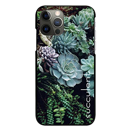 arrows We2 F-52E p P[X ubN Jo[ X}zP[X X}zJo[ ^ sc746(A) A {^jJ T{e  t[ gуP[X gуJo[ n[h v