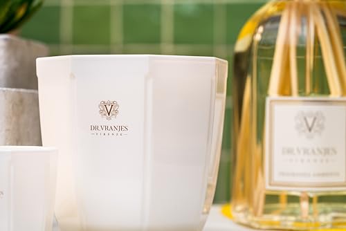 Dr. Vranjes Gift Set Difusor y Vela Aromática 250ml y 80g miniatura 5