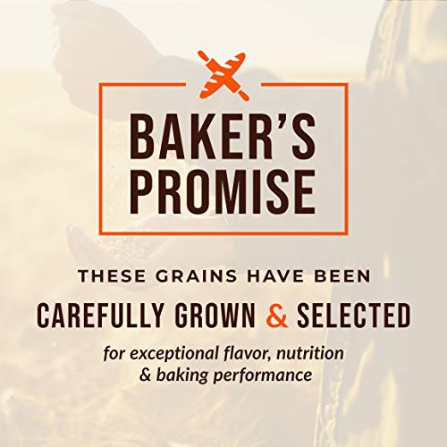 100% Organic Hard Red Spring Wheat Berries- 25 Lbs #TOP3