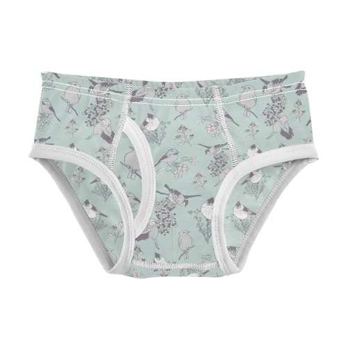 Boys' Exclusive Briefs Toddler Underwear 95% Combed Cotton Boxerbriefs 2T Bird Pattern 22