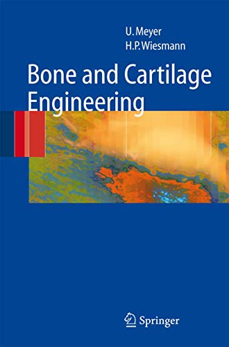 Bone and Cartilage Engineering view 2