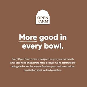  Open-Farm-Ancient-Grains-Dry-Dog-Food-Humanely-Raised-Meat-Recipe-with-Wholesome-Grains-and-No-Artificial-Flavors-or-Preservatives-Pasture-Raised-Lamb-Ancient-Grain-4-Pound-Pack-of-1