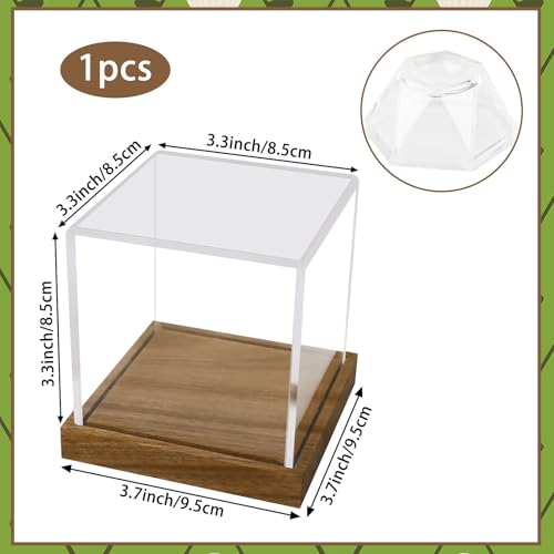 Image of Clear Acrylic Golf Ball Display Case with Wood Base & Acrylic Holder, Memorabilia Stand Cube Holder, Dust Protection Transparent Storage Box for Single Ball Souvenir Golfball Collections