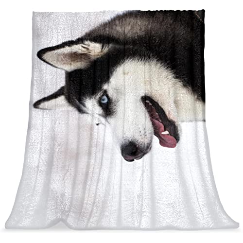 Couverture de lit Husky douce pour calmer l'anxiété et s'endormir sereinement - 2