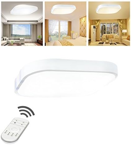 15W 12inch Dimmable Ceiling Light with Remote Control Led Ceiling Lamp Mount Ceiling Light Fixture Ceiling Lighting Kitchen Bathroom Living Room Bedroom Office