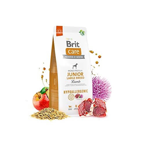 Brit Care Hypoallergénique Junior Large Breed Agneau – Dry Dog Food – 12 kg