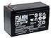 Fiamm FG20722 lead acid batterie 12Volt, 7200mAh