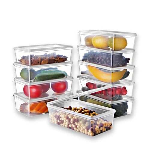 Ginza Maison Transparente Aufbewahrungsboxen aus Kunststoff mit Klappdeckel 2 L (67 63 fl oz) 10er Set Frischhaltedosen Gefriergeeignet BPA-frei & robust vielseitige Vorratsdosen für Snacks