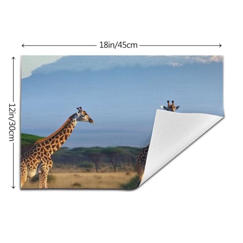 Set de table en PVC motif girafe lavable 30x45 cm résistant