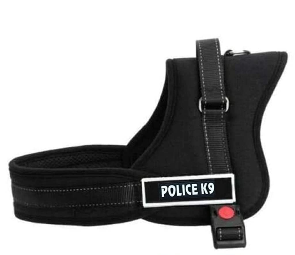 See full amazon price history chart for RvPaws Dog Harness Dog Police K 9 Vest Loop Straps and Handle and Adjustable (XL- 28-38 Inch Girth) RvPaws Dog Harness Dog Police K 9 Vest Loop Straps and Handle and Adjustable (XL- 28-38 Inch Girth) (B09J27YMSP) Amazon Price History, Amazon Price Tracker