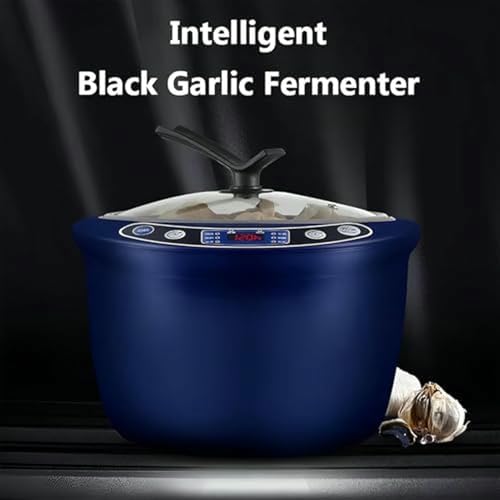 Machine ail noir 6L automatique pour fermentation réussie