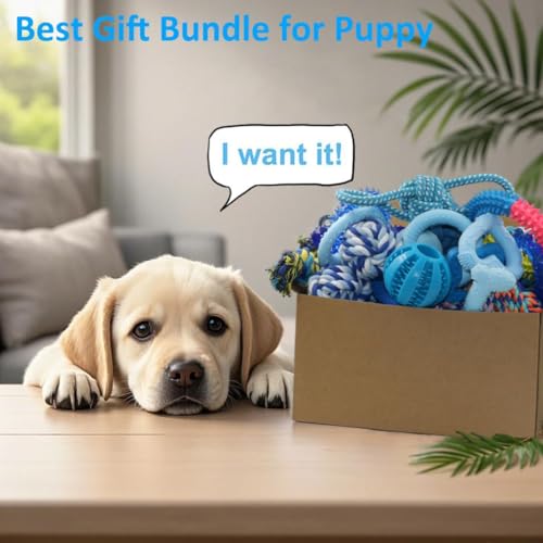 Beiker 20 Pack Puppy Chew Toys, Dog Teething Toys for Puppies Small Dogs | Blue Puppy Teething Rings and Ropes, Rubber Toy Bundle for Puppy Busy, Cute Interactive Pet Balls Bulk for Small Breed - Image 7