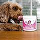 NutriPaw All-Itch Immunitäts-Leckerlis für Hunde - Beruhigt juckende Pfoten, Augen, Ohren, Haut - Beendet Jucken, Lecken, Kratzen - Perfekt für alle Hunde - Unterstützt saisonales Jucken