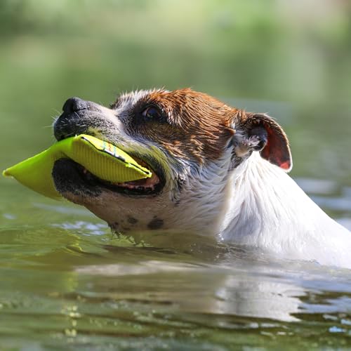 Bull Fit 2in1 Apportierdummy und Beisswurst für Hunde, Schwimmfähig - Robuster Dummy zum Hundetraining, Apportieren und Zerrspiele mit Hund - Wasserspielzeug aus hochwertigem Feuerwehrschlauch