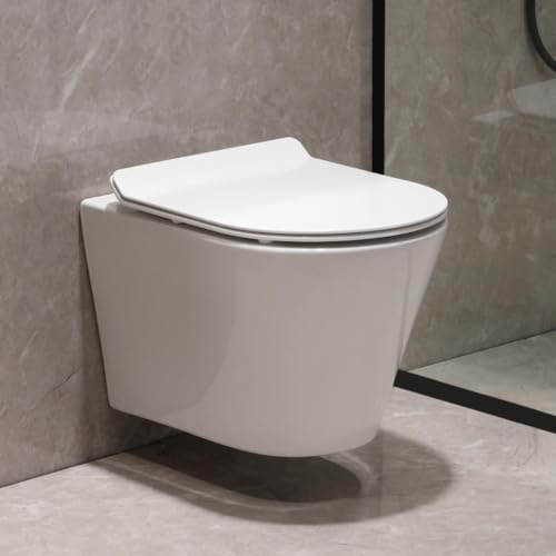 Teal Home WC Sospeso con Coperchio Automatico