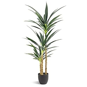 Artificialtree47ftfauxagaveplantwith3headsinplasticpotfaketreeforhomedecorindoororoutdoorofficedecorationhousewarminggift47feet1pack Urban Country Home Decor Artificial tree 47ft faux agave plant with 3 heads in plastic pot fake tree for home decor indoor or outdoor office decoration housewarming gift47 feet 1 pack urban country home decor