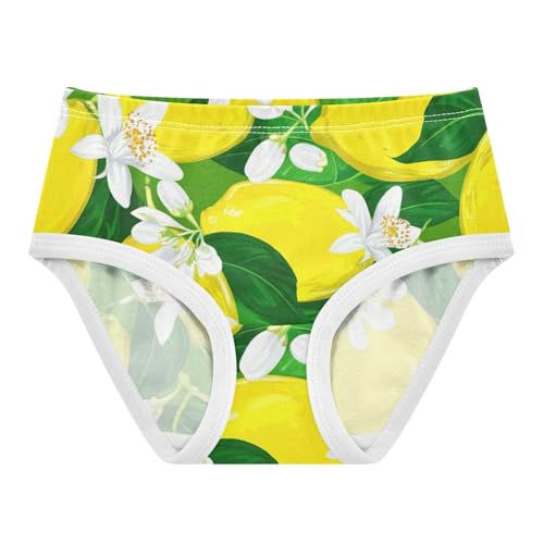 Yellow Limes Lemons Floral Green Girls Underwear Toddlers 2t Cotton Little Girl Panties Colorful Briefs Kids Undies