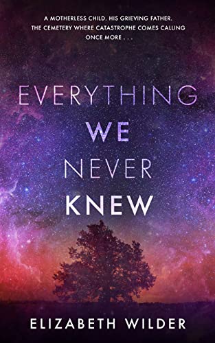 Everything We Never Knew view 2