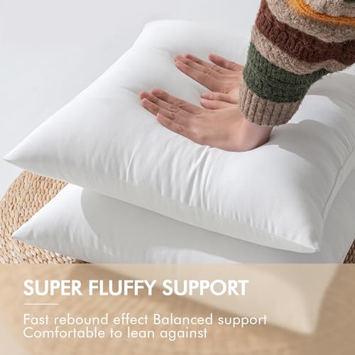 image for MIULEE 18x18 Inch Outdoor Pillow Insert Waterproof Decorative Throw Pi