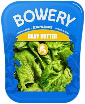 Bowery Baby Butter Lettuce, Pesticide-Free Lettuce, 4oz