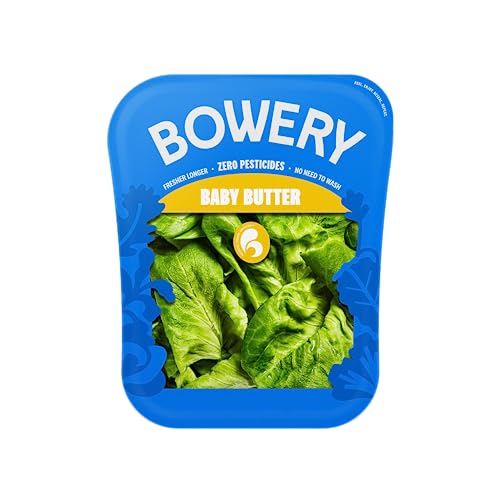 Bowery Baby Butter Lettuce, Pesticide-Free Lettuce, 4Oz #TOP2