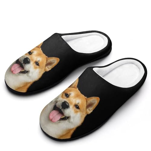 [STEBVI] Xbp  Č   [V[Y  nEXXbp  Y fB[X  ~ g 􂦂 qp p jp v[g