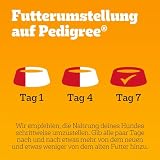 PEDIGREE Hundenassfutter Vital Protection Portionsbeutel mit Rind- und Lebermischung in Gelee, 24 x 100g