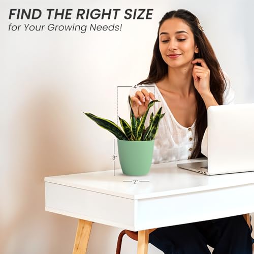 Image of YUCCABE ITALIA SHERA Stella 4 Inch Plastic Plant Pot for Home Decor Indoor Plant Pots for Living Room Plastic Flower Pot for Garden (Aqua, 4 INCH - 6 Pcs)