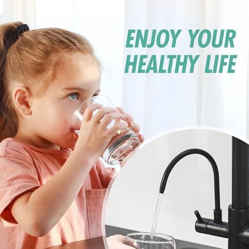 Image of Fapully Commercial Kitchen Faucet with Drinking Water Faucet Matte Black