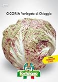 L'ORTOLANO