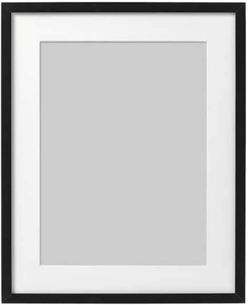 IKEA Ribba Frame Black 303.784.30 Size: 16x20"