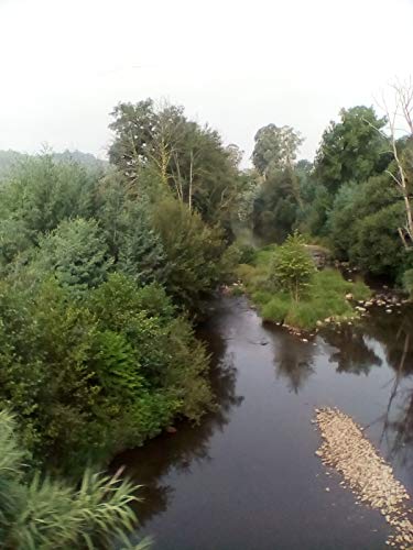 Derivadas: Matematica (Senhor dos aneis Livro 5) - Sousa, Teresa Sofia Neves Guimaraes de