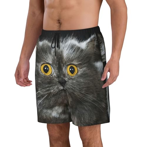Men's Beach Shorts Fur Cat Mens Swim Trunks Board Shorts with Pockets Swimwear Bathing Suits2