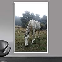Framed Canvas Wall Art Horse Animals Dramatic Farmhouse/Country Horse Living Room Multicolor Photography - 16x24 inches