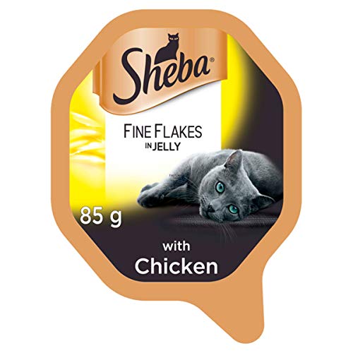 sheba soup asda