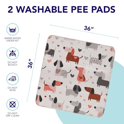 Image of PUPIBOO Washable Pee Pads for Dogs and Cats - Super Absorbent Reusable Puppy Training Pads - 100% Waterproof, Leak-Proof & Non-Slip Whelping Pads for Pet Housebreaking