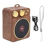 Qcwwy Retro Music Speaker, Metallknöpfe Desidn Vintage Wireless Tragbare Outdoor -Lautsprecher Laut...