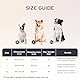 BEDSURE orthopädisches Hundebett Grosse Hunde - 106x76x18cm wasserdichtes Hundesofa mit Memory-Schaum & Eierkarton-Schaum, waschbarer und Abnehmbarer Cordbezug Hundecouch, grau