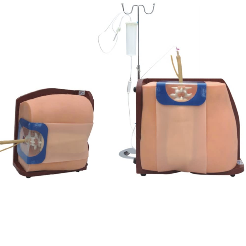 buy-bbyt-lumbar-puncture-simulator-model-manikin-spinal-puncture-model