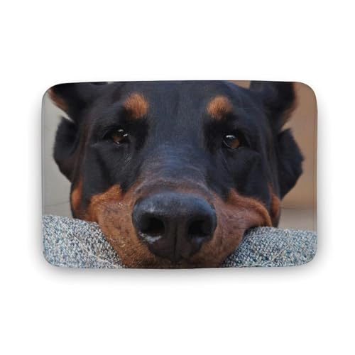  TGh   oX}bg z/唻 փ}bg  O   傫 ~ Aj LN^[ @}bg   ʏ