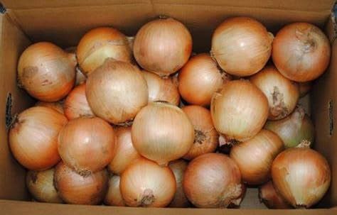 ys꒼szƖp@kCق@ʂ˂@kTCY@20kgiP[Xjy①z