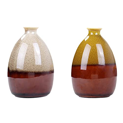 Cabilock Maceteros 2 Piezas Pequeño Jarrón de Cerámica Único Jarrón de Escritorio Florero Hidropónico Florero Botella Florero Decorativo para Fiesta en Casa Y Aire Amarillo Decoracion Boda