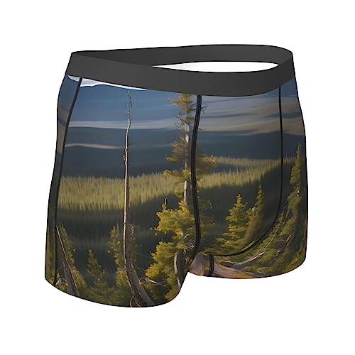 Ocean Fishes Print Men's Boxer Briefs,Luxury Underwear Trunks,Athletic Underwear - Ideal for Daily Athletic3