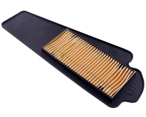 Insert de filtre à air Standard compatible pour Peugeot Ludix 50 cc, Speedfight 3, Tweet, Viva City, SYM roulante, Roller