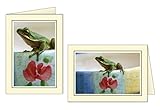 Photographer's Edge, Photo Insert Card, Cream with Black Border, Set of 10 for 4x6 Photos