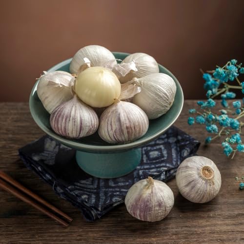 Semillas de ajo resistentes: plante semillas de ajo, de jardín, resistentes al exterior. Camas elevadas para el jardín, para exterior. 250pcs